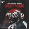 What You Like (feat. PnB Rock & MadeinTYO) - Single album lyrics, reviews, download