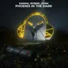 Stream & download Phoenix In the Dark - Single