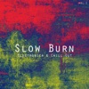 Slow Burn Electronica Chill Out, Vol. 1