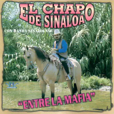 Entre la Mafia - El Chapo De Sinaloa