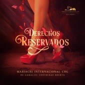 Derechos Reservados artwork