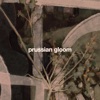 Prussian Gloom - Single