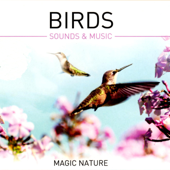 Birds - Sounds & Music (Gapless) - Levantis