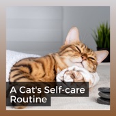A Cat's Self-care Routine artwork
