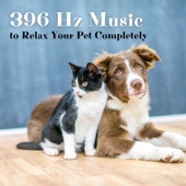396 Hz Music to Relax Your Pet Completely artwork
