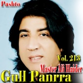 Gull Panrra, Vol. 213 artwork