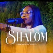 Shalom (Jehovah My Peace) artwork