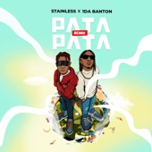 Pata Pata (Remix) [feat. 1da Banton] artwork