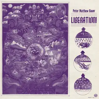 télécharger l'album Peter Matthew Bauer - Liberation