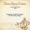 Symphony No.40 In G Minor,Kv 550. Molto Allegro - Single (with Richard Edliner) - Single album lyrics, reviews, download