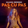 Pas cu pas - Single