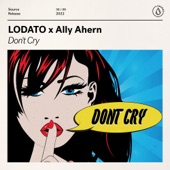 Don't Cry artwork