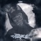 Strange (feat. ArchQuaranth, PinkBone & KAYROS) - Toxid lyrics