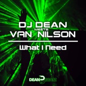 What I Need (Extended Mix) artwork