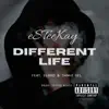 Different Life (feat. Slado & Jamie Gel) - Single album lyrics, reviews, download