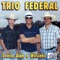 Saudade Pica-Pau - Trio Federal lyrics