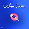 Calm Down - Single album lyrics, reviews, download