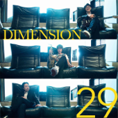 29 - DIMENSION