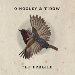 THE FRAGILE cover art