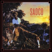 Saoco - Paso Fino (2013 Remastered Version)