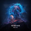 You Can't Fix Me - Single