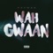 Wah Gwaan artwork