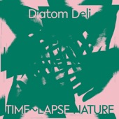 Diatom Deli - Sunday's Dying Light