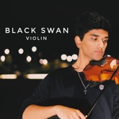 Black Swan (Violin) artwork