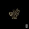 XO (Victony Remix) - Jayo & Victony lyrics