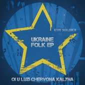 Oi U Luzi Chervona Kalyna (Instrumental) artwork
