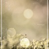 Boy Blowing Bubbles - Single