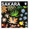 Sakara (feat. Sobek) - De Cave Man & TonicVolts lyrics