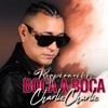 RESPIRACION BOCA A BOCA - Single