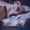 Gentle Lullabies for Dogs