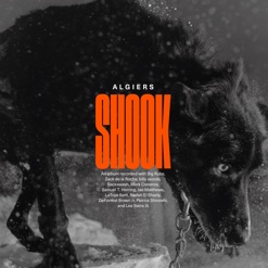 SHOOK cover art