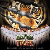 Una Raya Más al Tigre artwork