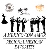 A México Con Amor: Regional Mexican Favorites artwork