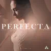 Perfecta (Bachata Version) [feat. MR. Don, Vinny Rivera, Johandy & Jhonny Evidence] - Single album lyrics, reviews, download