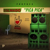 Pica Pica artwork