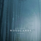 Woodlands (Solo Piano) artwork