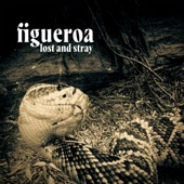 Figueroa - Lost and Stray