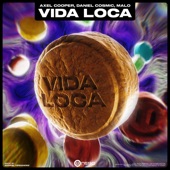 Vida Loca artwork