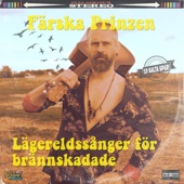 Lägereldssånger för brännskadade artwork