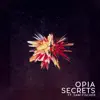 Secrets (feat. Sam Fischer) - Single album lyrics, reviews, download