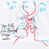 You Only Like Beautiful Things artwork