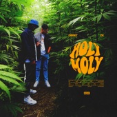 Holy Moly (feat. ZK) artwork