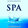 Spa Mist: Calm Music and Rain Sounds For Spa and Massage album lyrics, reviews, download