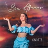 Gnotte - Sin Afanes