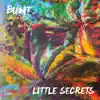 Stream & download Little Secrets (feat. DamienDamien) - Single