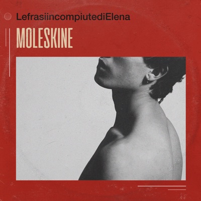 Moleskine - lefrasiincompiutedielena